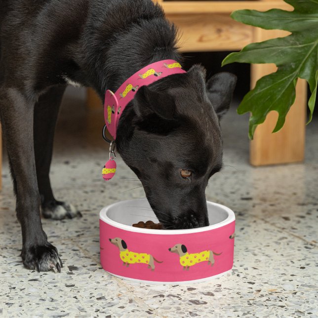 Écuelle Joli chien jaune et rose Dachshund Funny (Créateur téléchargé)