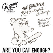 La coupe « Êtes-vous assez chat ? » de la Mouseter