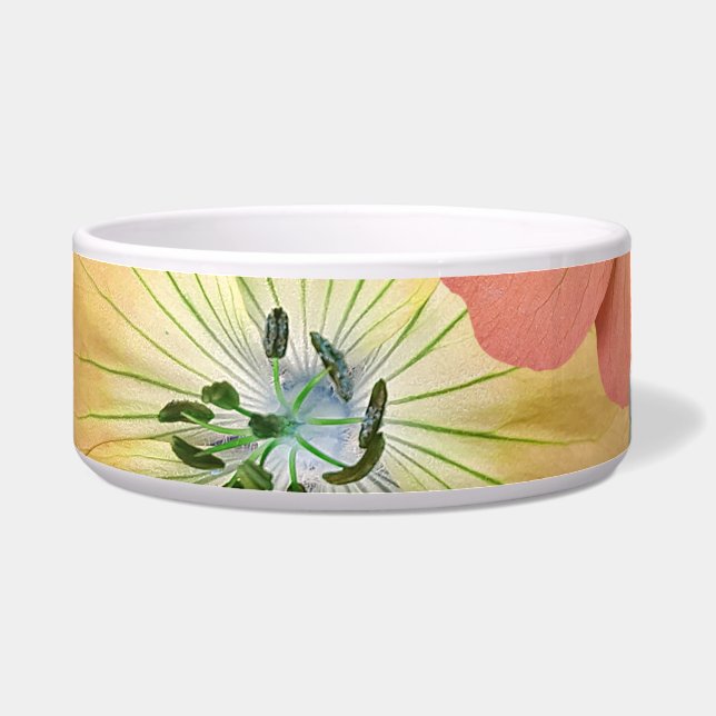 Écuelle La fée sortira bientôt 1 (Devant)