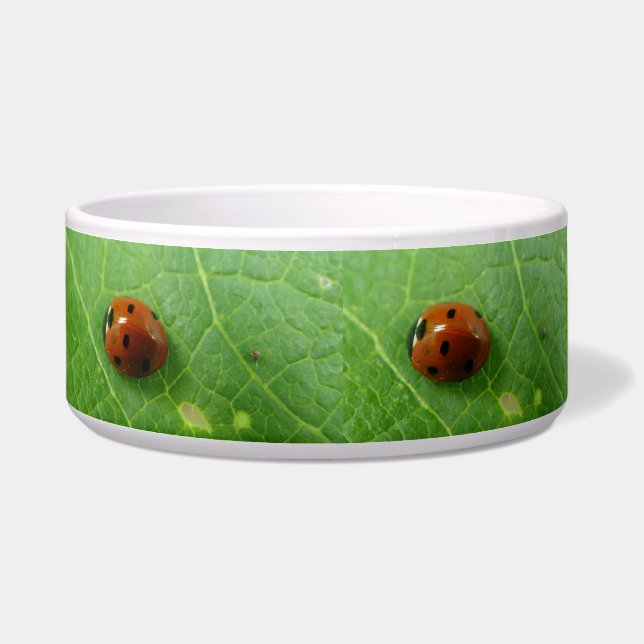 Écuelle Ladybug Dog Bowl (Gauche)