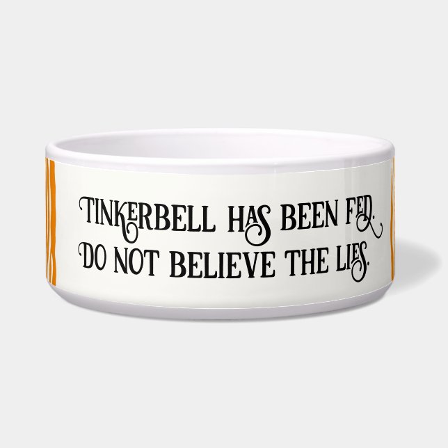 Écuelle Le Chat Tigre Orange Striped A Été Nourri (Devant)