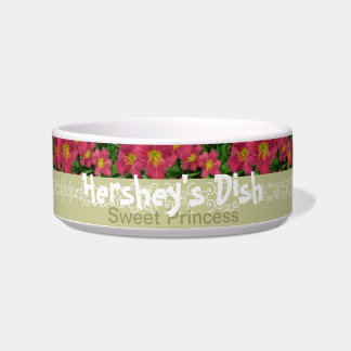 Écuelle Le nouveau jour fait du jardinage le Daylily P.M.