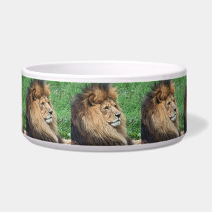 Écuelle Lion_2015_0701