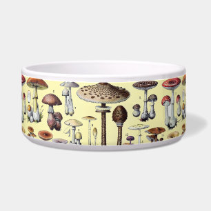 Écuelle Maisonnette Champêtre Vintage aux Champignons Bota