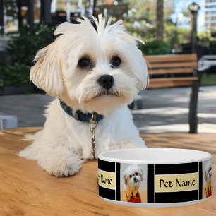 Écuelle Malshi Black Dog Bowl personnalisable