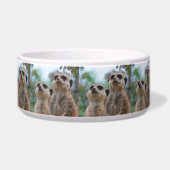 Écuelle Meerkat_2015_0410 (Gauche)