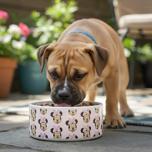 Écuelle Minnie Bowl