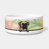 Molosse bouledogue mignon qui regarde, nourriture
