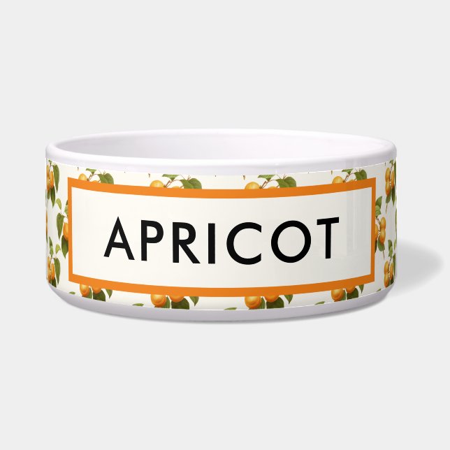 Écuelle Motif d'aquarelle vintage Orange Apricots (Devant)