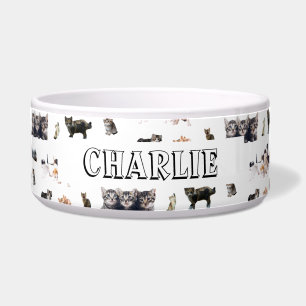 Écuelle Motif personnalisé avec des photos de chats et de 