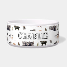 Motif personnalisé avec photos de Chats et chatons