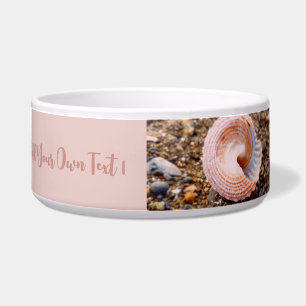 ÉCUELLE NATURE SEASHELL STONY PEBBLE PHOTO IMAGE TEXTE ROS