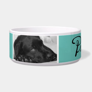 Écuelle Nom de chien Turquoise moderne en noir Script 2 Ph