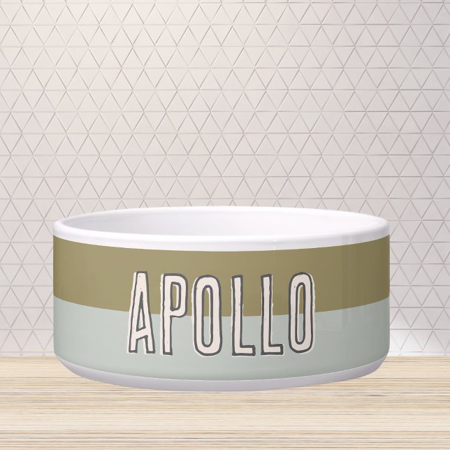 Écuelle Nom de l'animal de compagnie moderne personnalisé  (Customize this fun, modern dog bowl with your pet's name! )