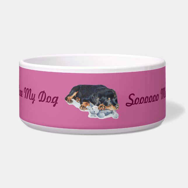 Écuelle nounours de caresse de chiot mignon de rottweiler (Devant)