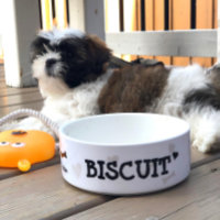 Nourriture personnalisée - Chien de Chien de Chien