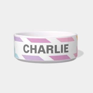 Écuelle Pastel Rainbow Personnalisé céramique poêle Bowl