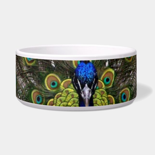 Écuelle Peacock Pet Bowl (Devant)