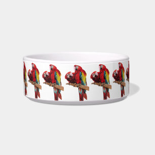 Écuelle Perroquet macaw Oiseaux rouges Oiseau Boire Bowl