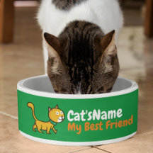 Personnalisez le meilleur chat ami