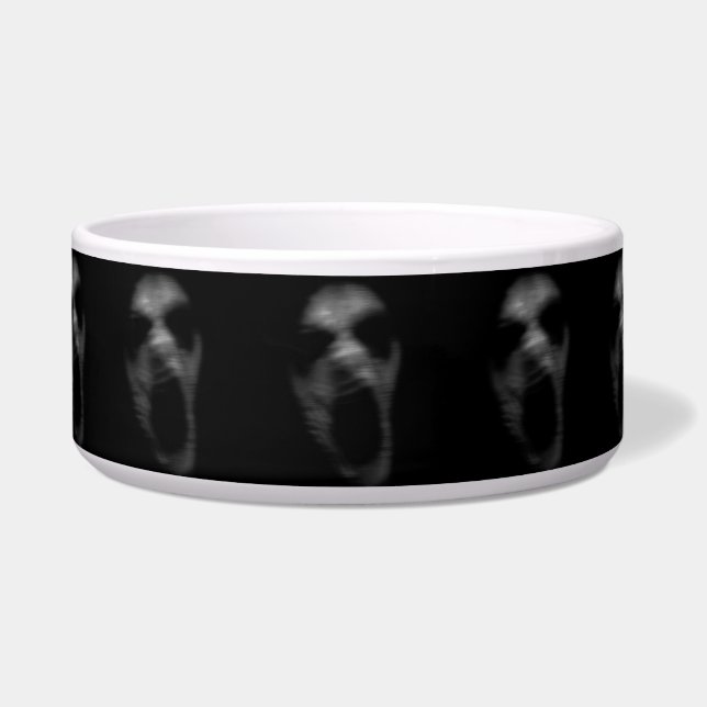 Écuelle Pertes de troubles mentaux (Devant)