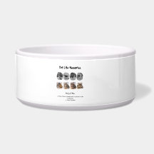 Pet Life Memories 8 Photo Collage Tribute Template