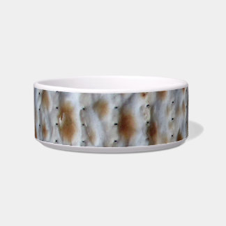 Écuelle Petit plat de nourriture de Matzah pour un animal