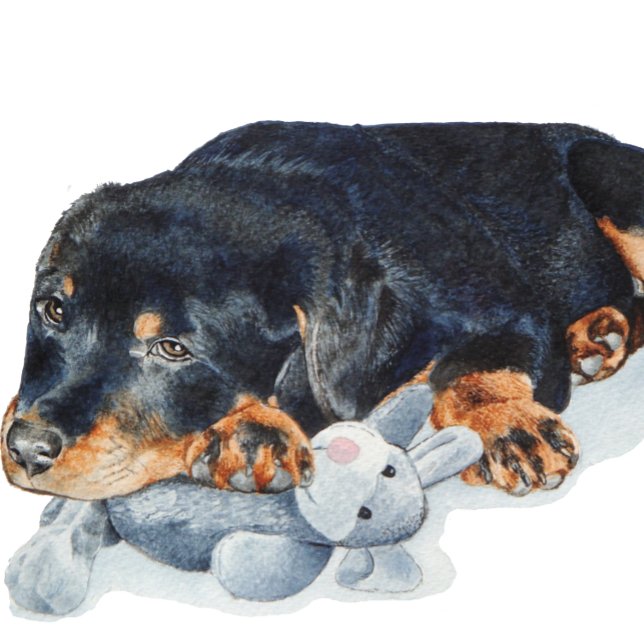 Écuelle photo chiot bouddling teddy rottweiler chien (Créateur téléchargé)