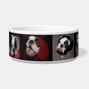 Écuelle Photo personnalisée Pet Dog Bowl