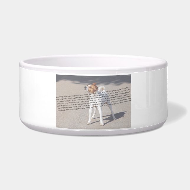 Écuelle Photo PET ✨ Lovely Custom (Devant)