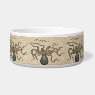 Écuelle Pieuvre Kraken Antique Faune Marine Côtière