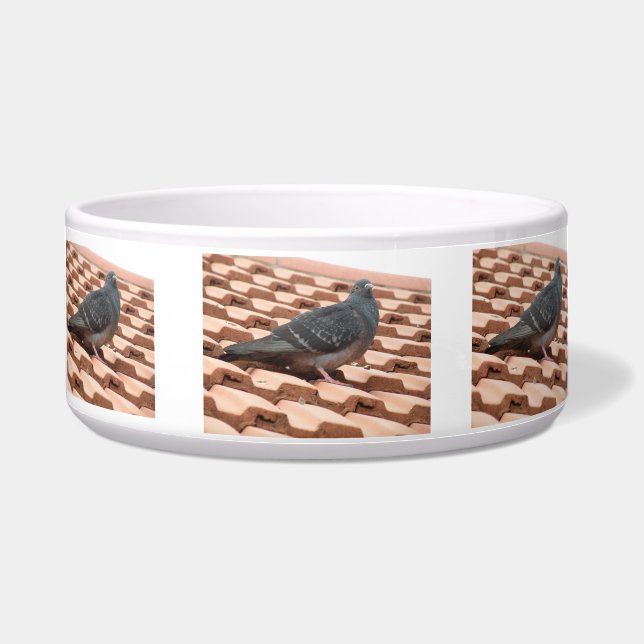 Écuelle Pigeon Dog Bowl (Devant)