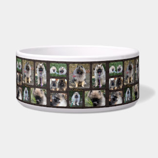 Écuelle Plat de chien en céramique