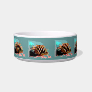 Écuelle Poisson tropical