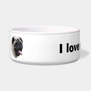 Écuelle Portrait de photo d'animal familier de chien de