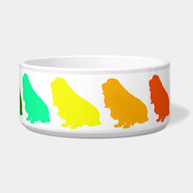 Écuelle Rainbow Cocker Pet Bowl (Droite)