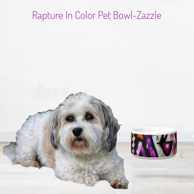 Écuelle Rapidité En Céramique Couleur Pet Bowl (Créateur téléchargé)