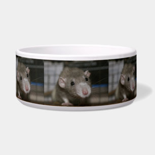 Écuelle Rat curieux