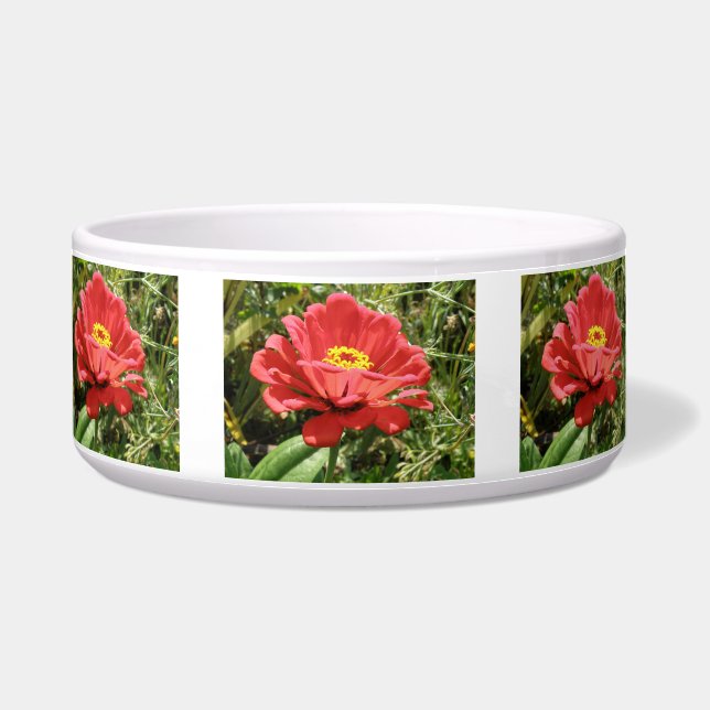 Écuelle Red Zinnia Chig Bowl (Devant)