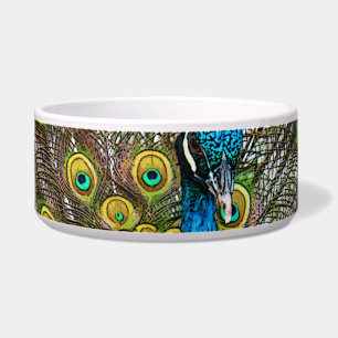 Écuelle Regal Peacock Bird avec Turquoise et Gold Plumage