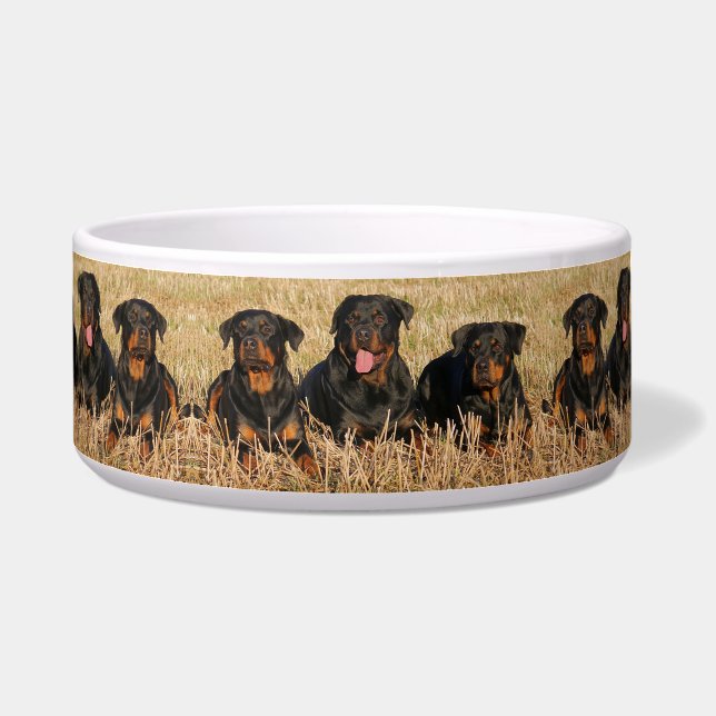 Écuelle Rottweilers (Gauche)