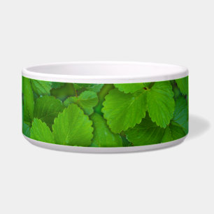 Écuelle Saint Basil Tulsi Green Mint Feuilles