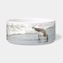 Sandpipers sur la plage Photo Ceramic Pet Bowl