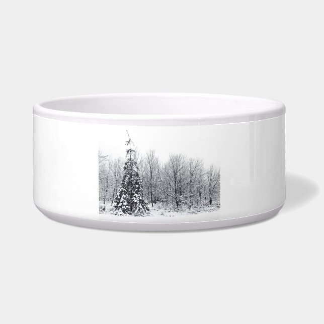 Écuelle séparation de l'incertitude (Devant)