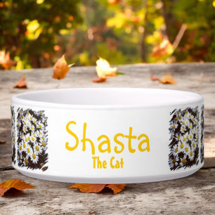 Écuelle Shasta Daisy Bundles Modèle photo