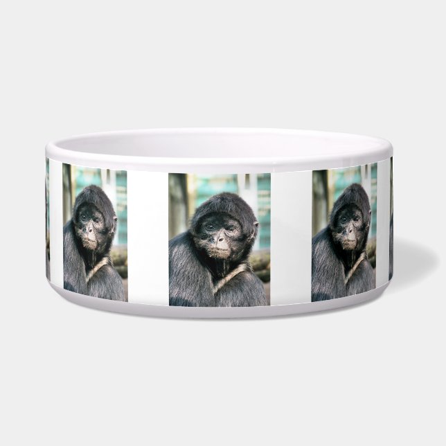 ÉCUELLE SINGES (Devant)