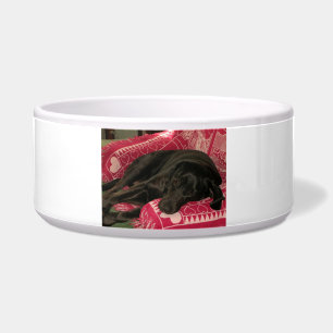 Écuelle Sleepy Dog Pet Bowl