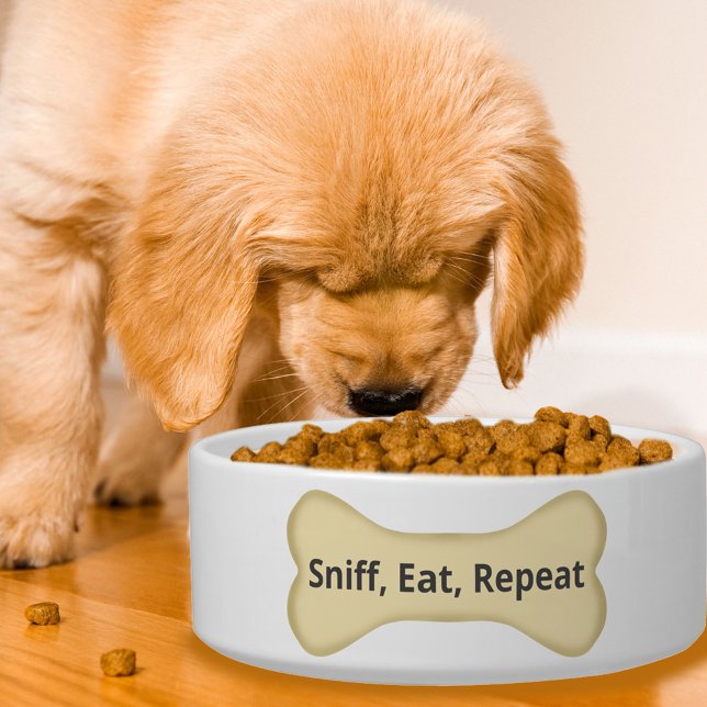 Écuelle Sniff, Manger, Répéter, Chien Bone Funny Chien Bow (The life of the moment you dog goes to his or her food bowl!)
