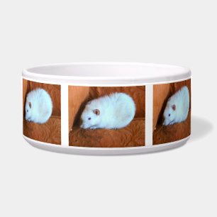 Écuelle Snowball White Rat Dog Bowl