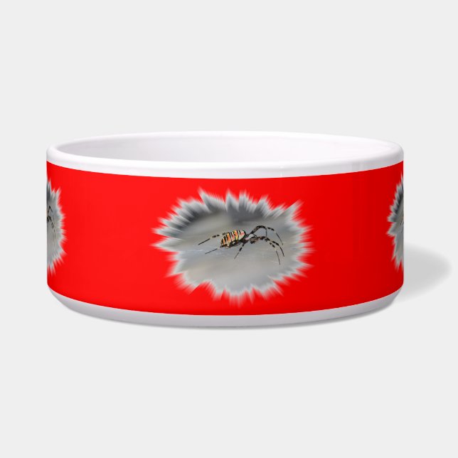 Écuelle Spider (Devant)
